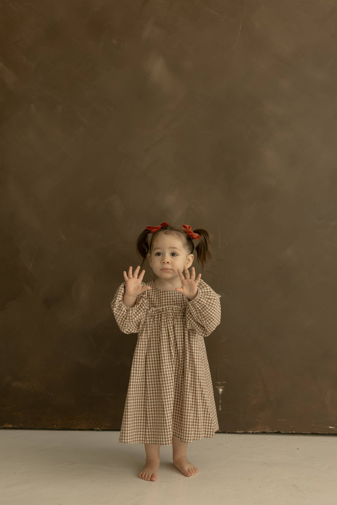 Long Sleeve Dress, Honey Gingham – Lily Valley Baby